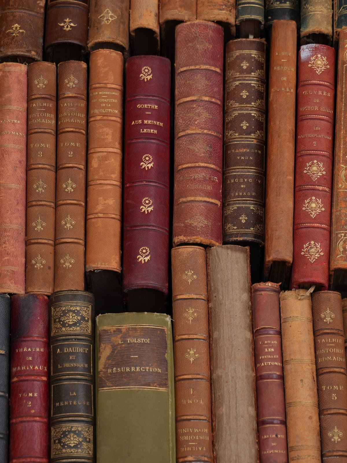 عنوان کتاب نمونه ۲